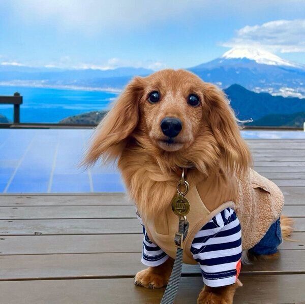 お出かけを楽しむノアくん