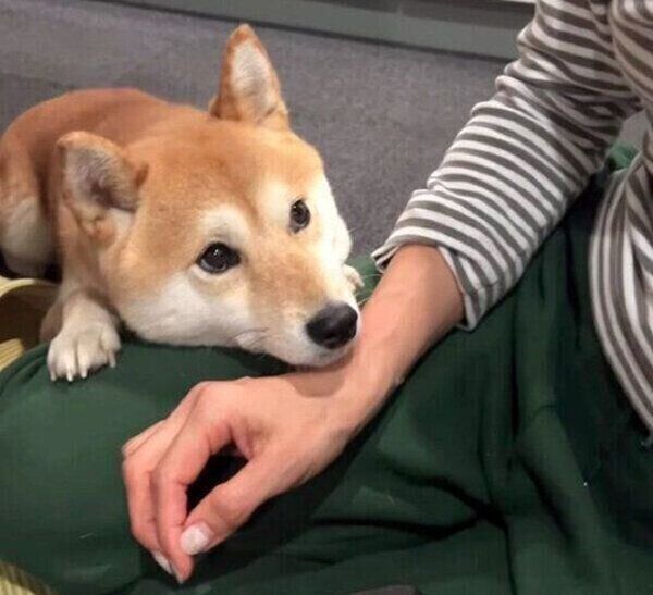 かまってちゃんなすずちゃん