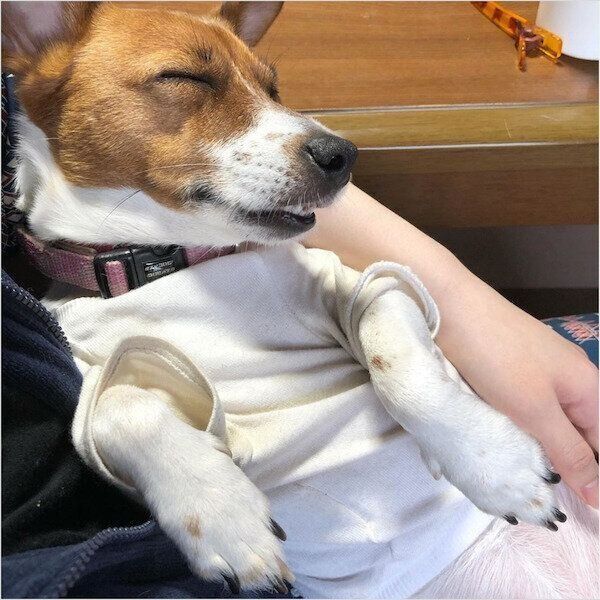 抱っこされるアイネちゃん