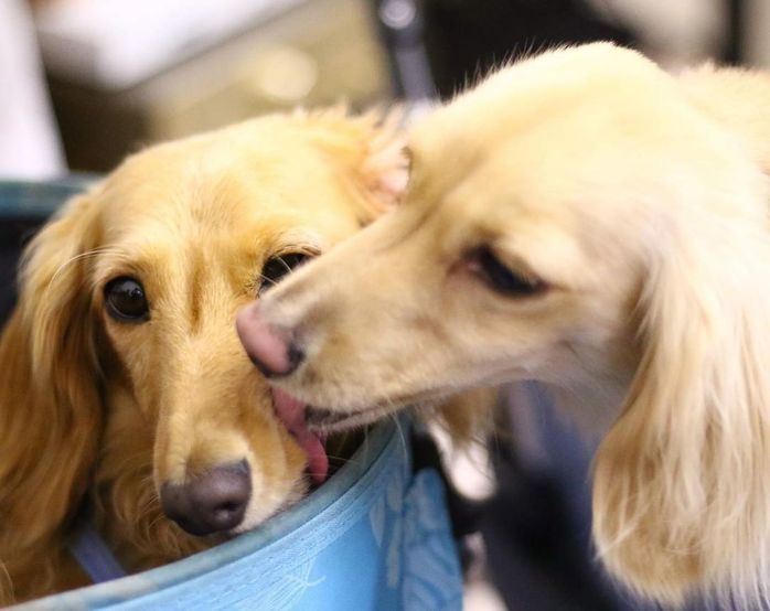 ジンくん&はるくん