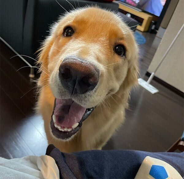 笑顔のセナくん
