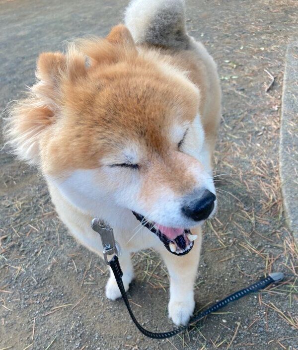 眠そうなちよちゃん