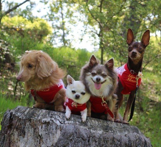 みんな仲良し、勢揃い!