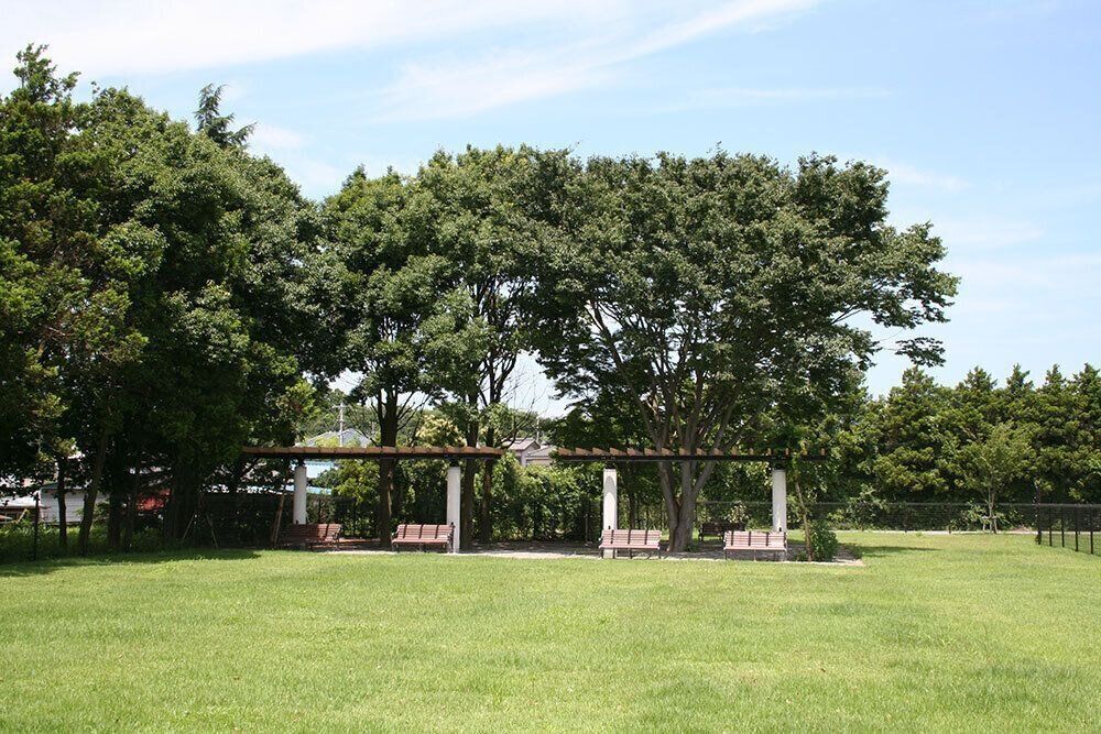 緑に包まれたドッグラン