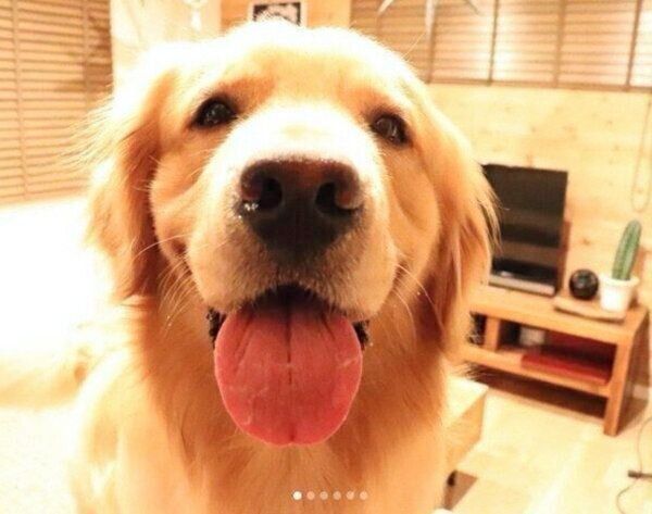 笑顔のモッシュくん