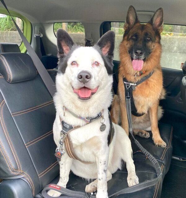 笑顔のスヌーピーちゃんとバトンちゃん