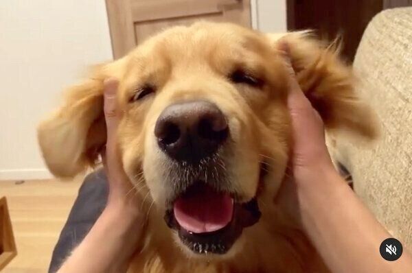 笑顔のモッシュくん