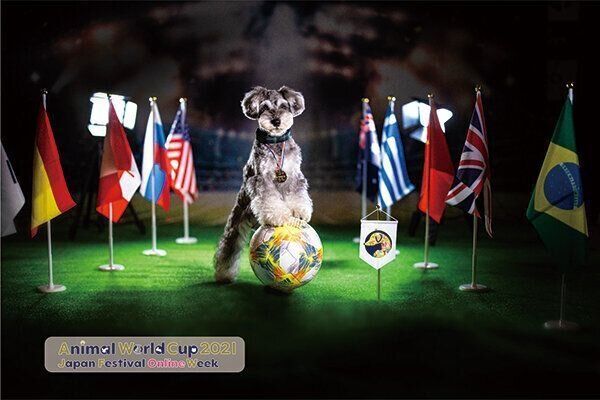 『Animal World Cup 2021 Japan Festival Online Week』
