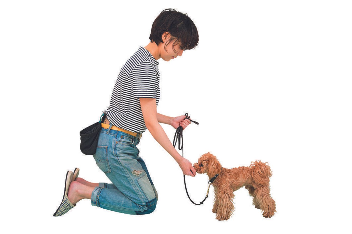 専門家が解説 犬の おすわり の教え方 できないときの解決策 いぬのきもちweb Magazine 専門家が解説 犬の おすわり の教え方 できないときの解決策 いぬのきもちweb Magazine