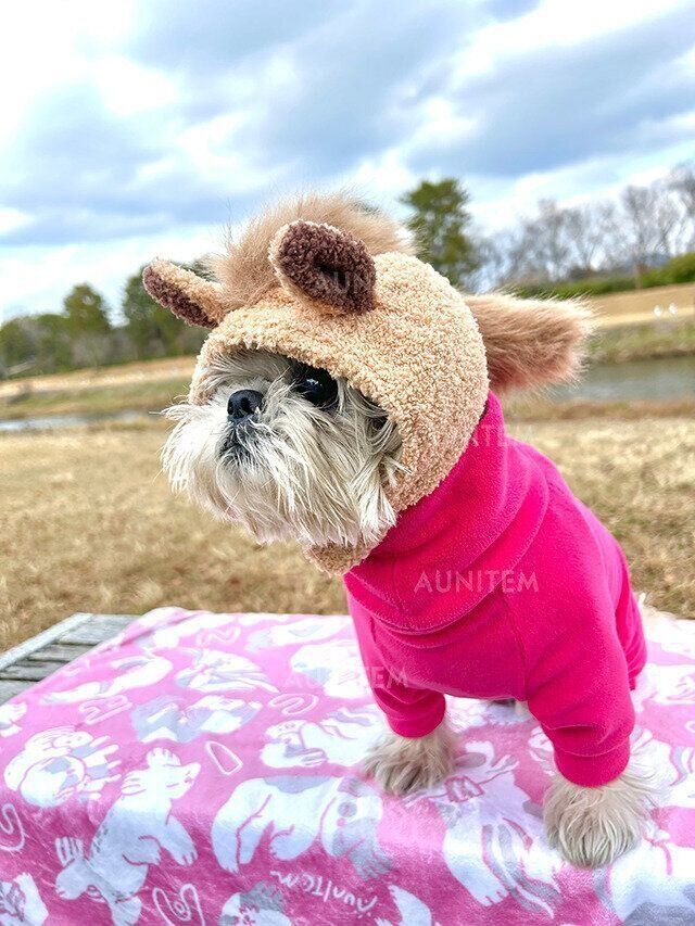 シーズー犬マンガてんぽshihtzu