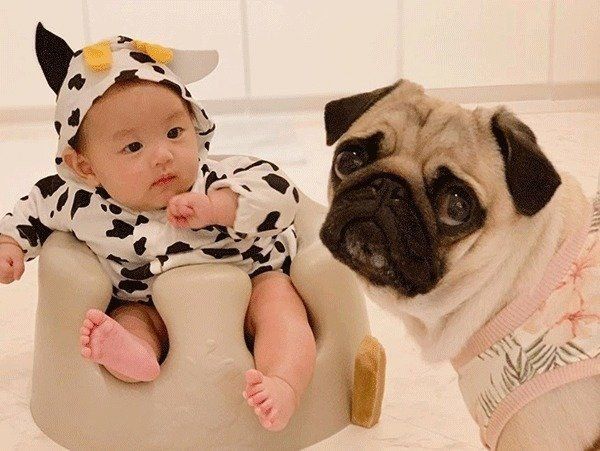 妹ちゃんとぱぐぞうくん