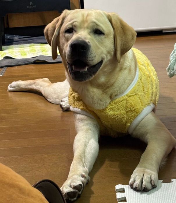 笑顔が可愛いノアくん