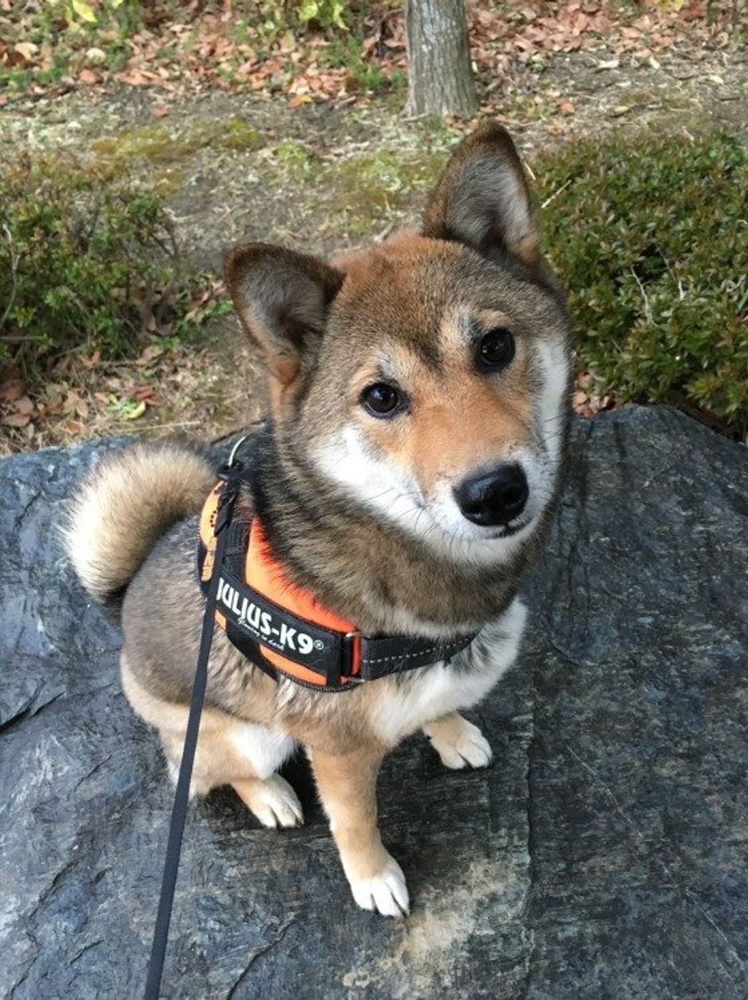 Ubjmq05azux2rm Ubjmq05azux2rm