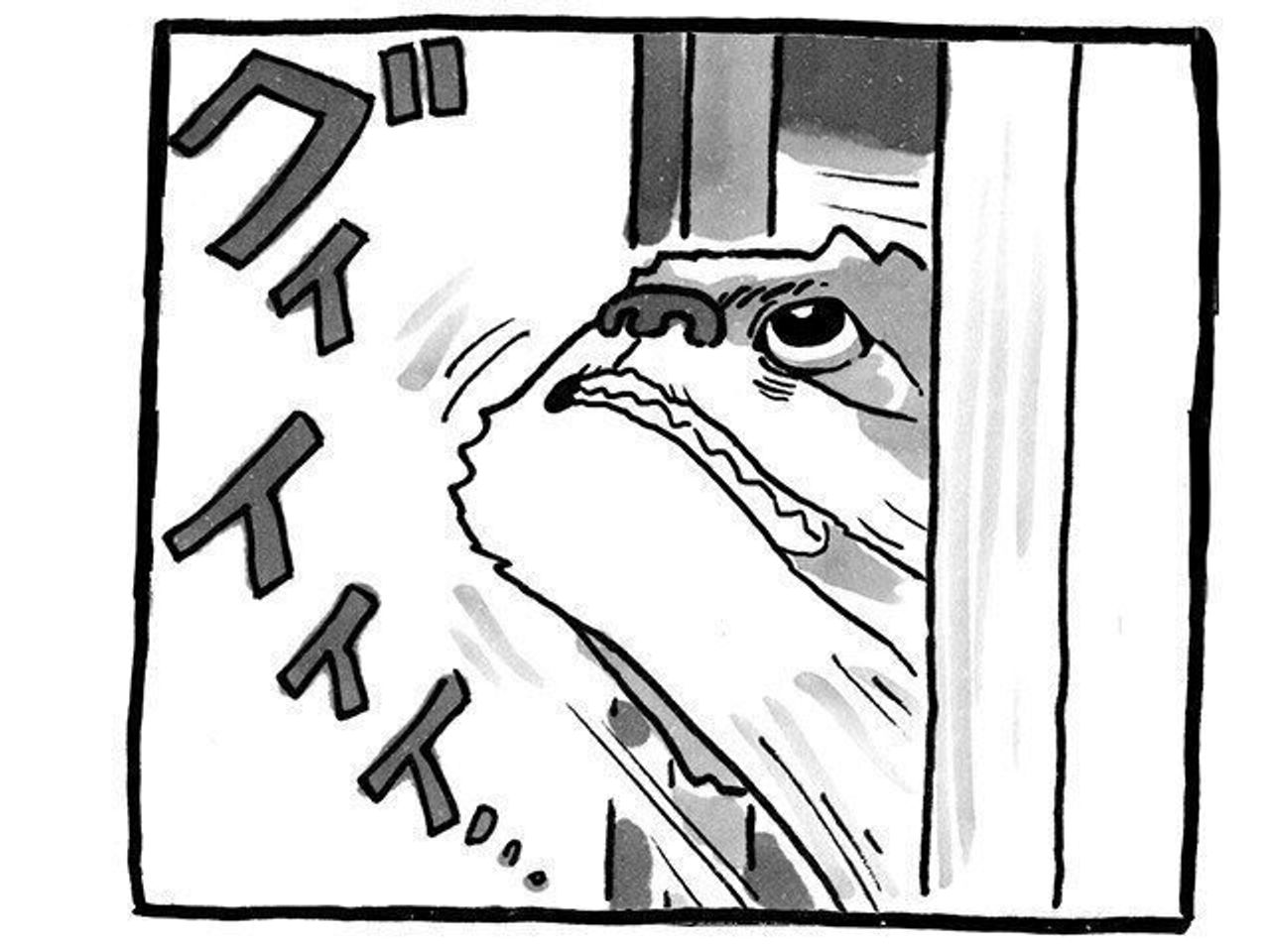 賢い犬は手も使えるし 頭も 使える 連載 シーズー犬のてんぽ 第118回 いぬのきもちweb Magazine 賢い犬は手も使えるし 頭も 使える 連載 シーズー犬のてんぽ 第118回 いぬのきもちweb Magazine