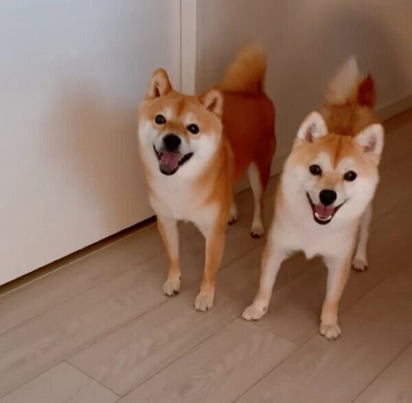 笑顔が可愛いちくわくん、がんもくん
