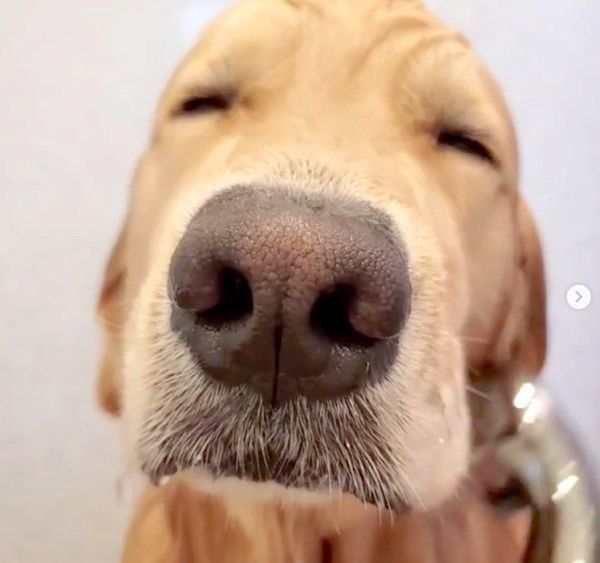 お風呂に入るアランくん