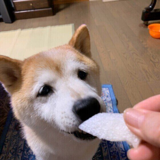 「梨が食べたいよ〜」可愛いおねだり♪