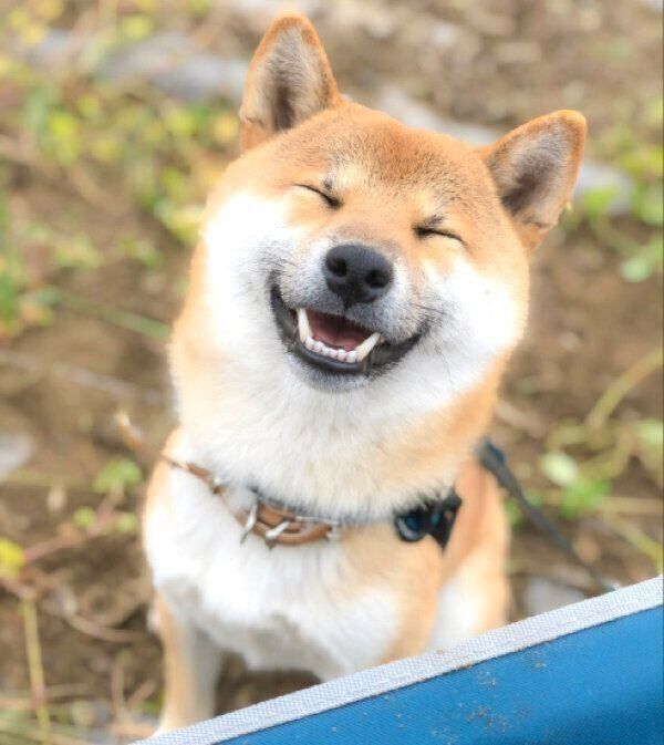 笑顔のそらくん