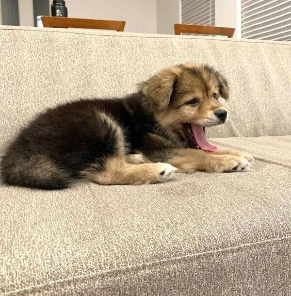 くつろぐえまちゃん