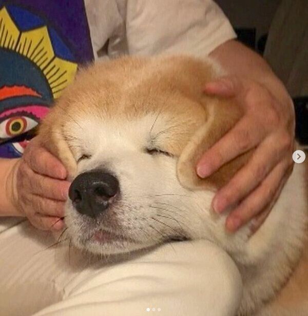 ナデナデ中に眠くなってしまったジロウくん