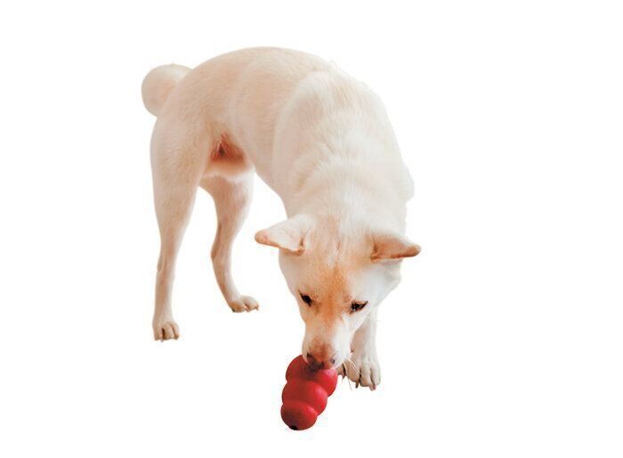 知育玩具で遊ばせて