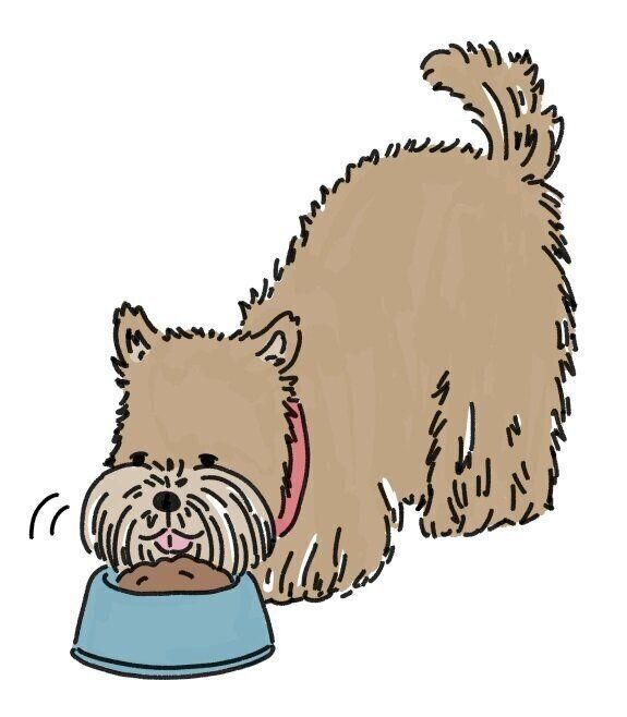 イラスト／Hanna