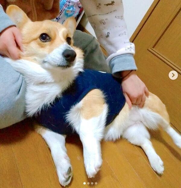 まったりするゆずちゃん