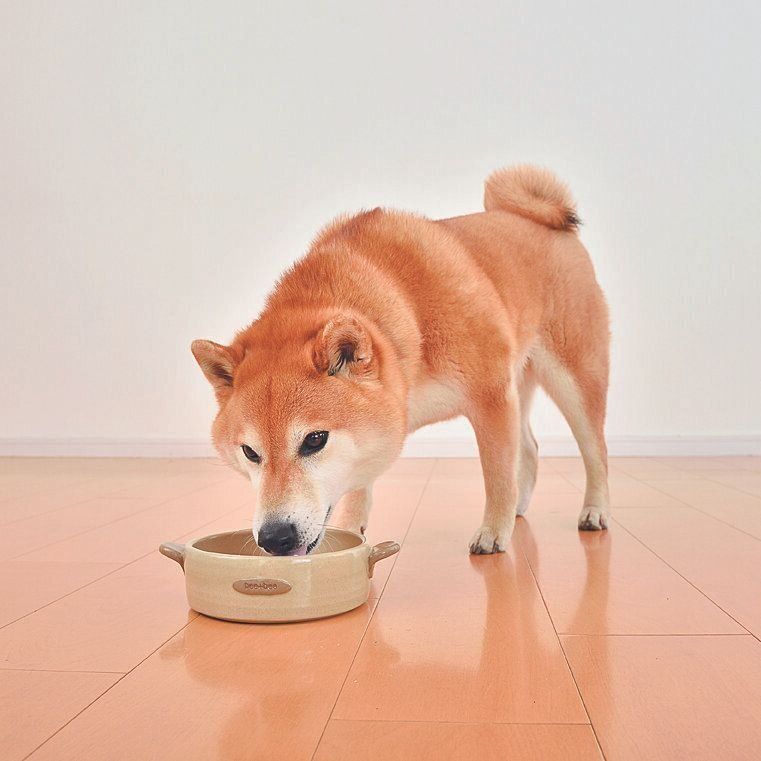 撮影／佐藤正之