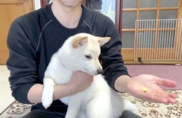 正解を外し、絶望するはるちゃん