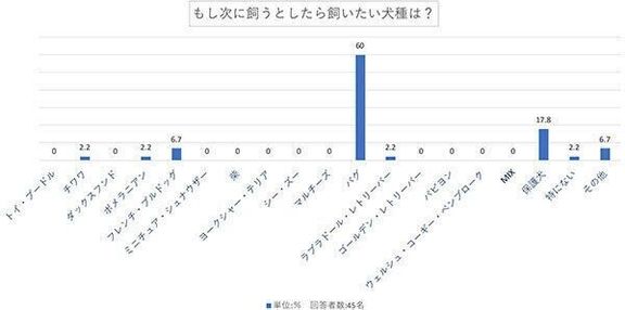 もし次に飼うとしたら飼いたい犬種は?