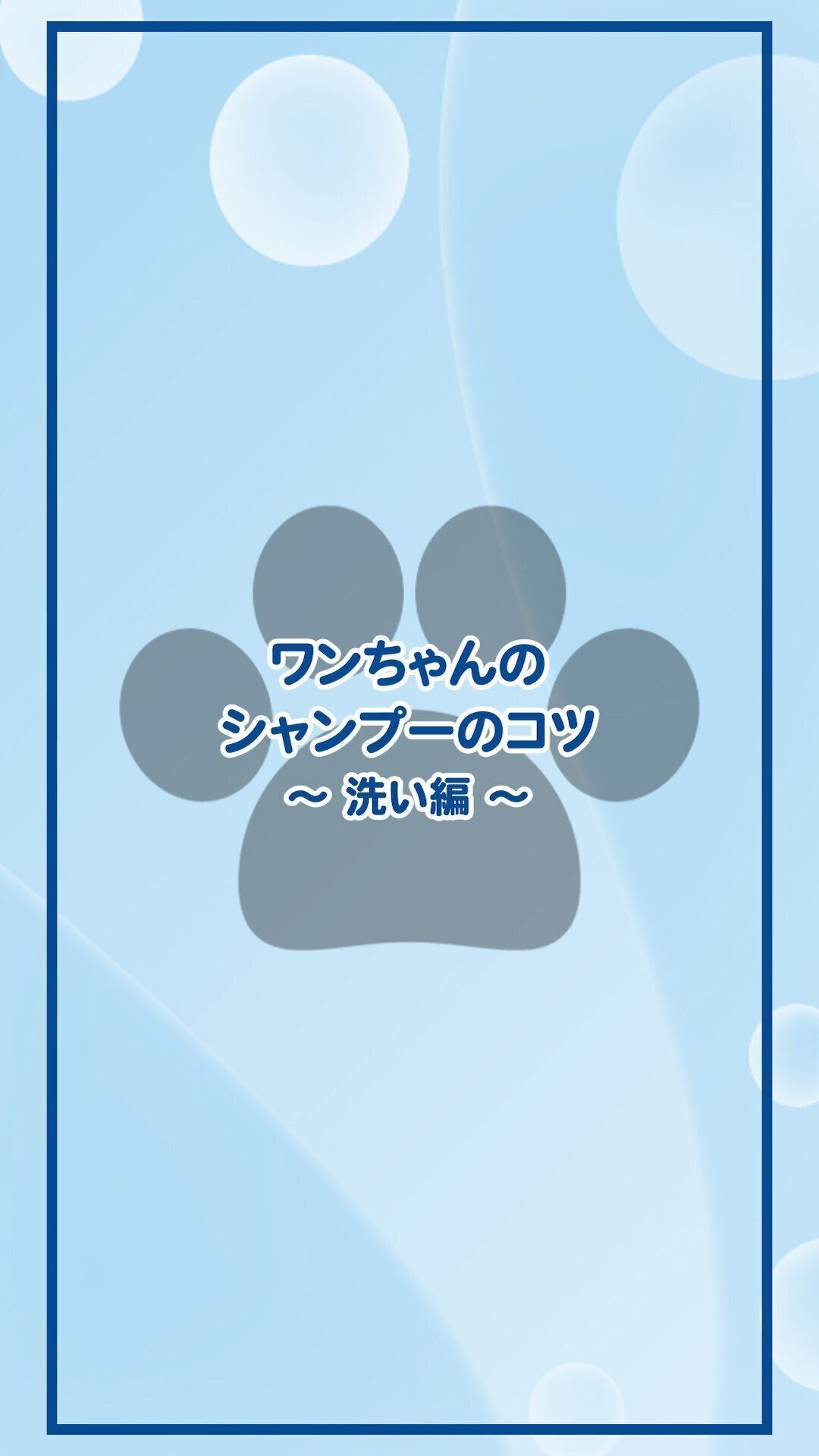 ワンちゃんのシャンプーのコツ 〜洗い編〜