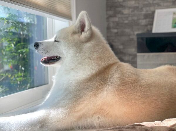 笑顔の凛太郎くん