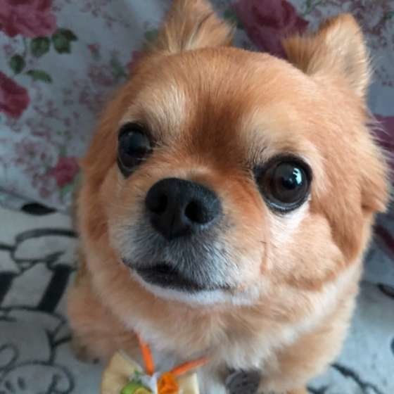 おやつ食べたいな。