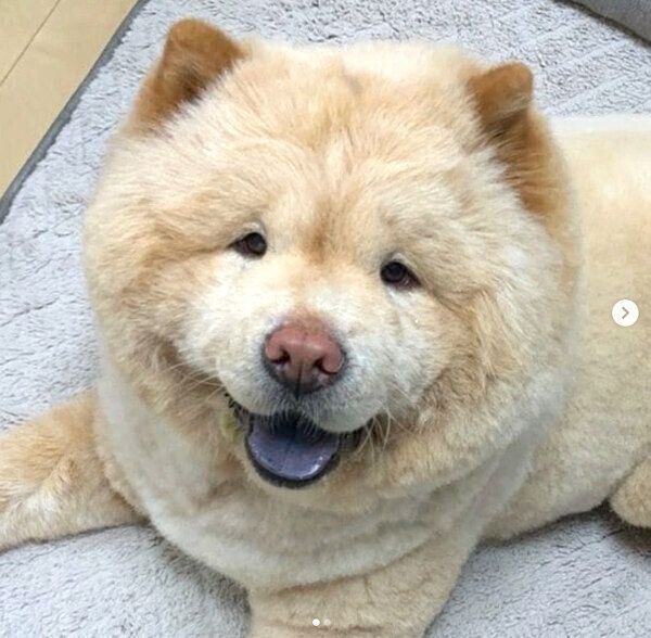 笑顔のくり蔵くん