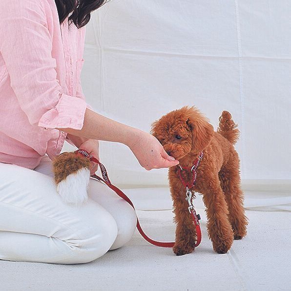 撮影／佐藤正之