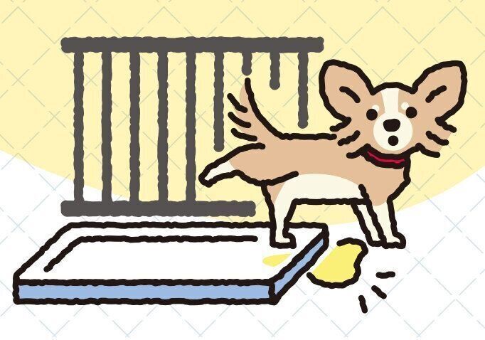 イラスト/亀山鶴子