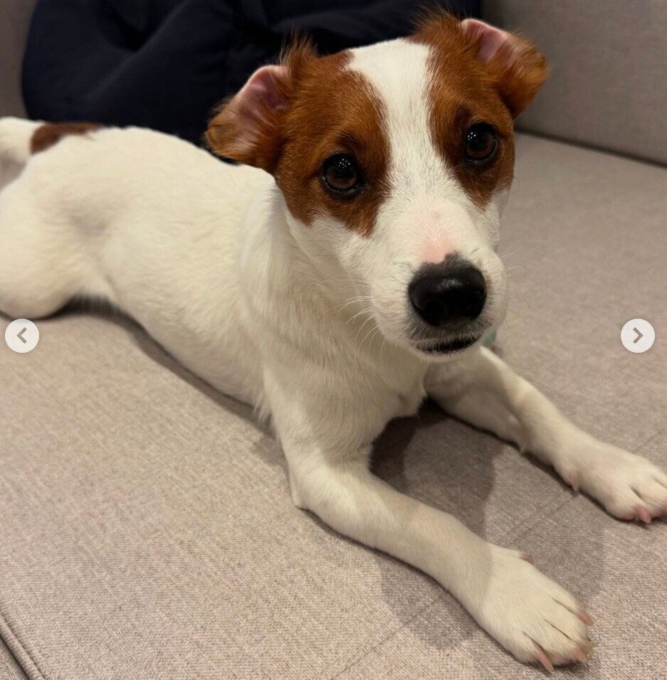 2才になったとろろくん