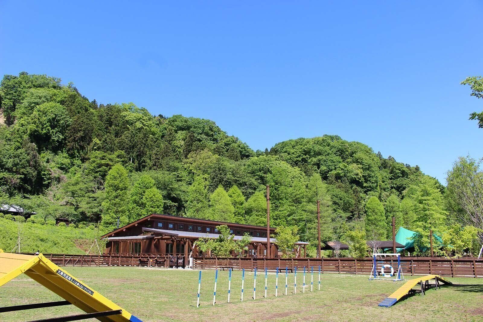 アジリティーが設置してあるドッグラン