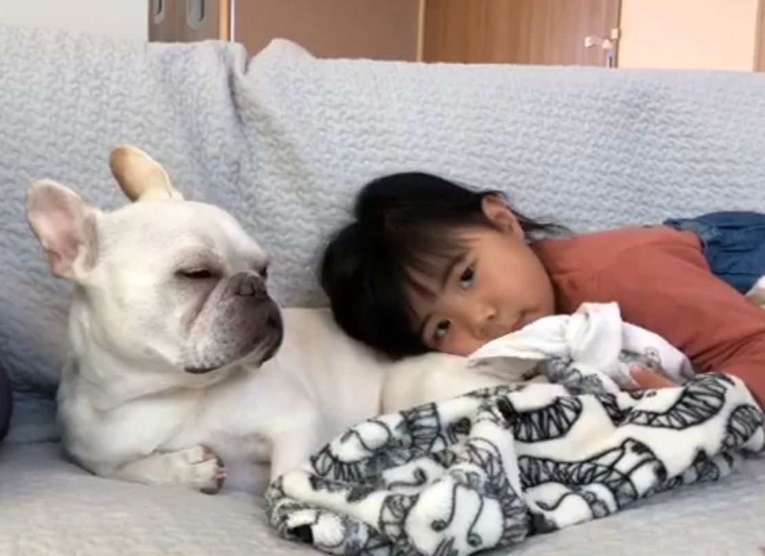 フレンチ・ブルドッグと女の子