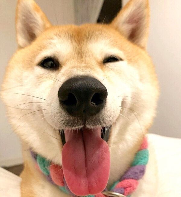 笑顔のハルちゃん