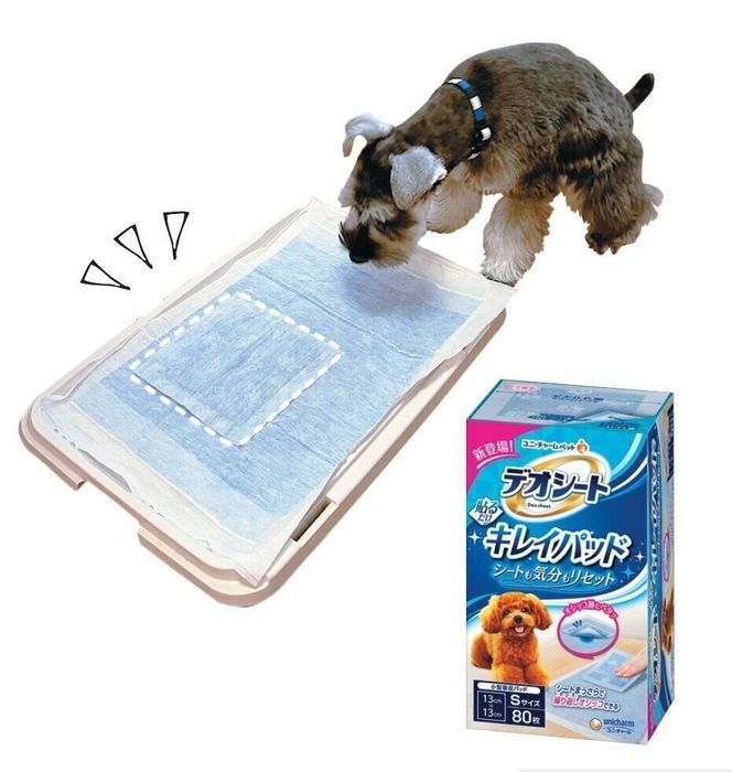 試したのは、スタッフTの実姉と愛犬ボロ(メス・5カ月/4.0kg/ミニチュア・シュナウザー/暴れん坊)