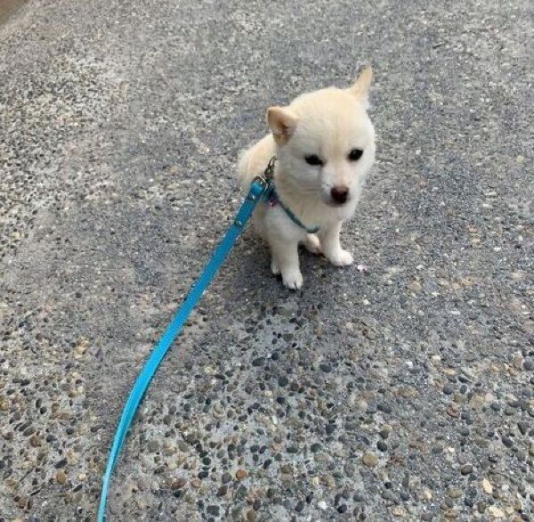 ちょこんと座るボスくん