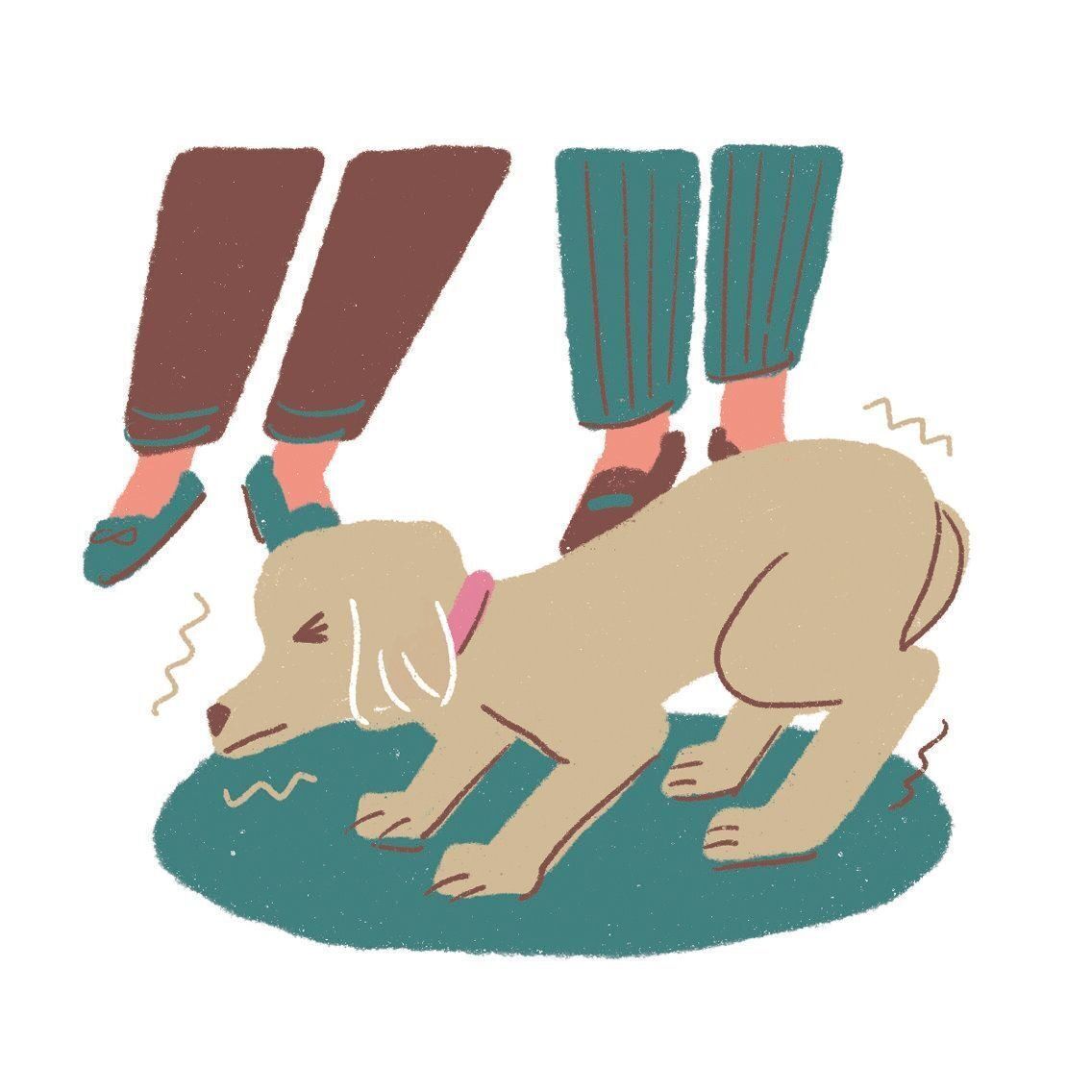 イラスト／ヤマグチカヨ