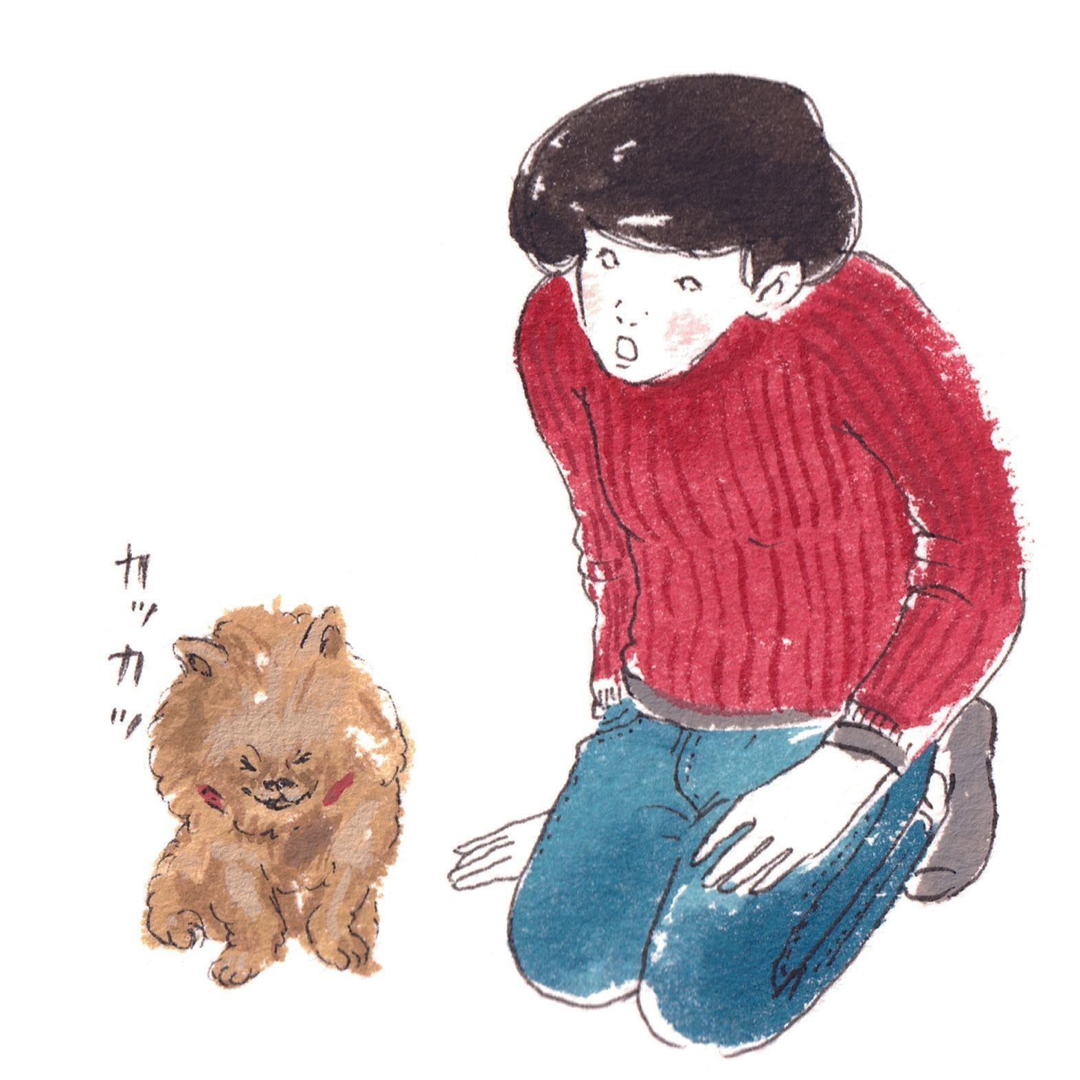 イラスト／フジマツミキ