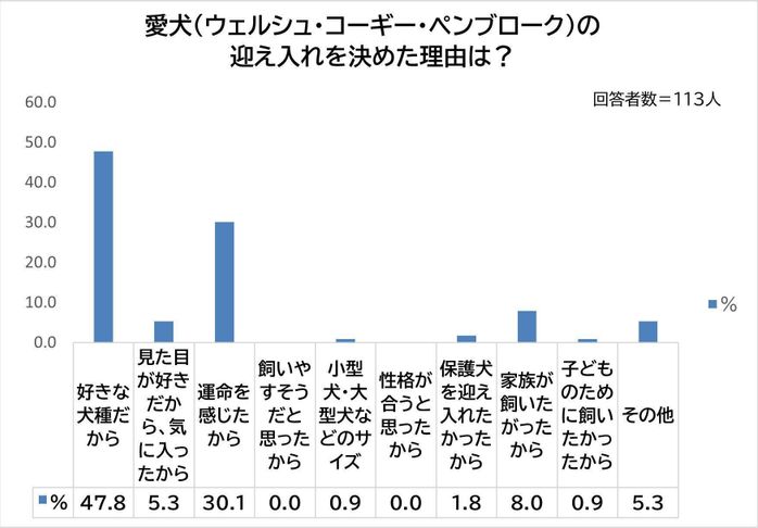 愛犬を迎え入れた理由は?