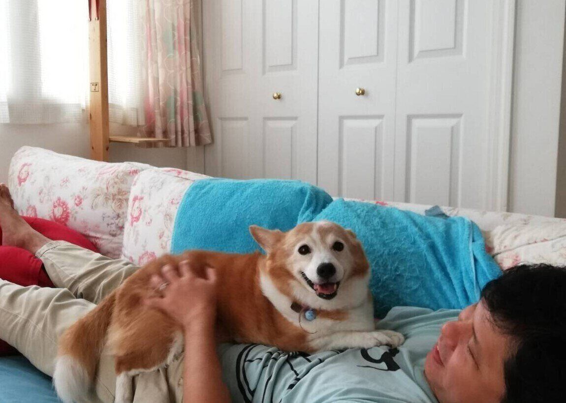 ソファでうたたねするご主人に寄り添うように寝るアンちゃん