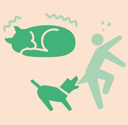 噛まれたり引っかかれたりすることでも感染する