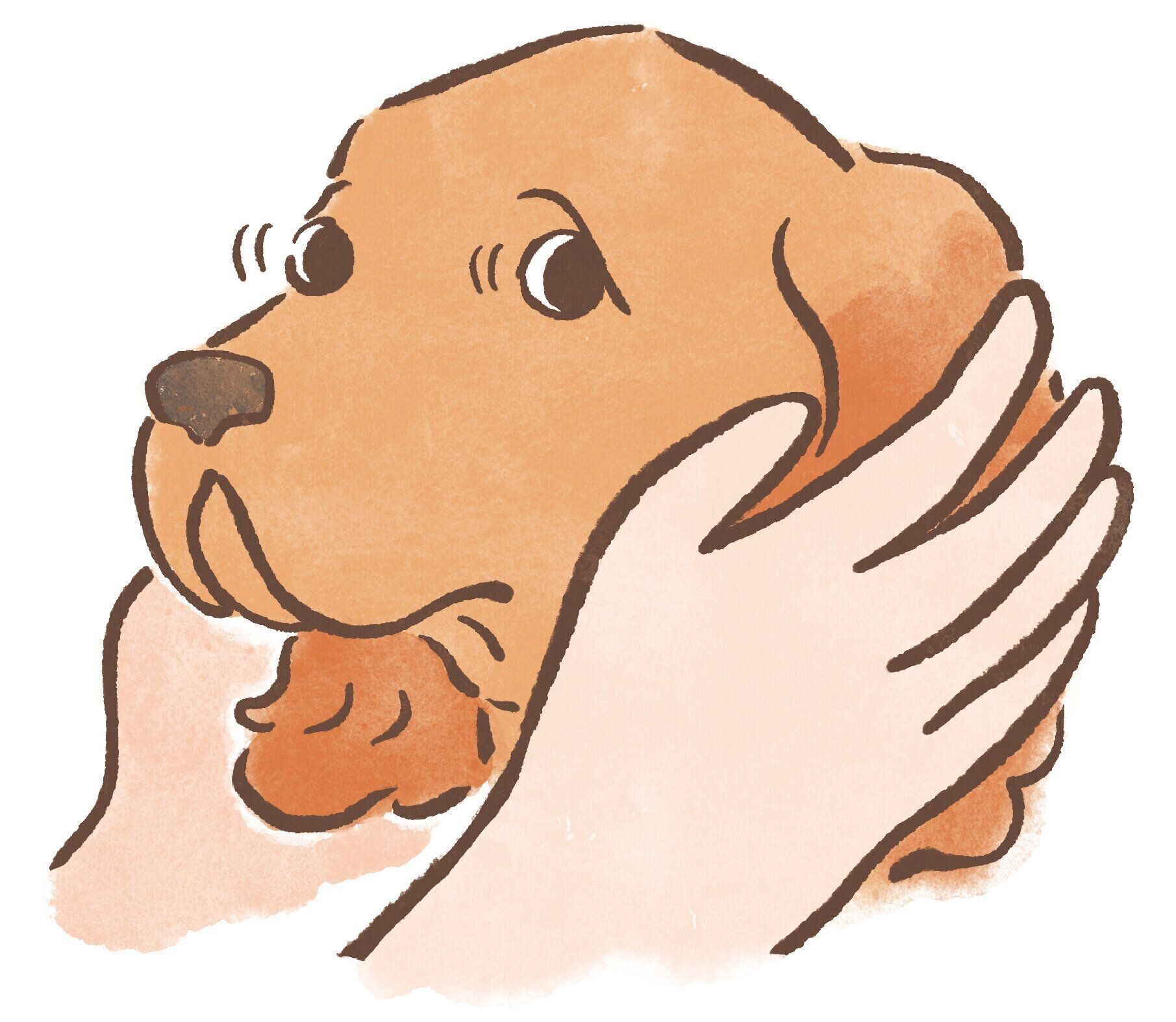 イラスト／太田麻衣子