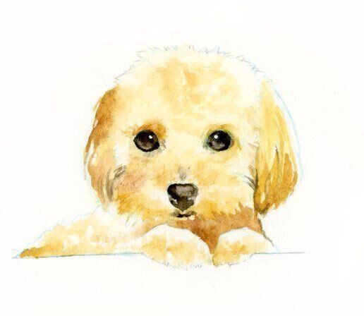 飼い主が描いた犬の似顔絵