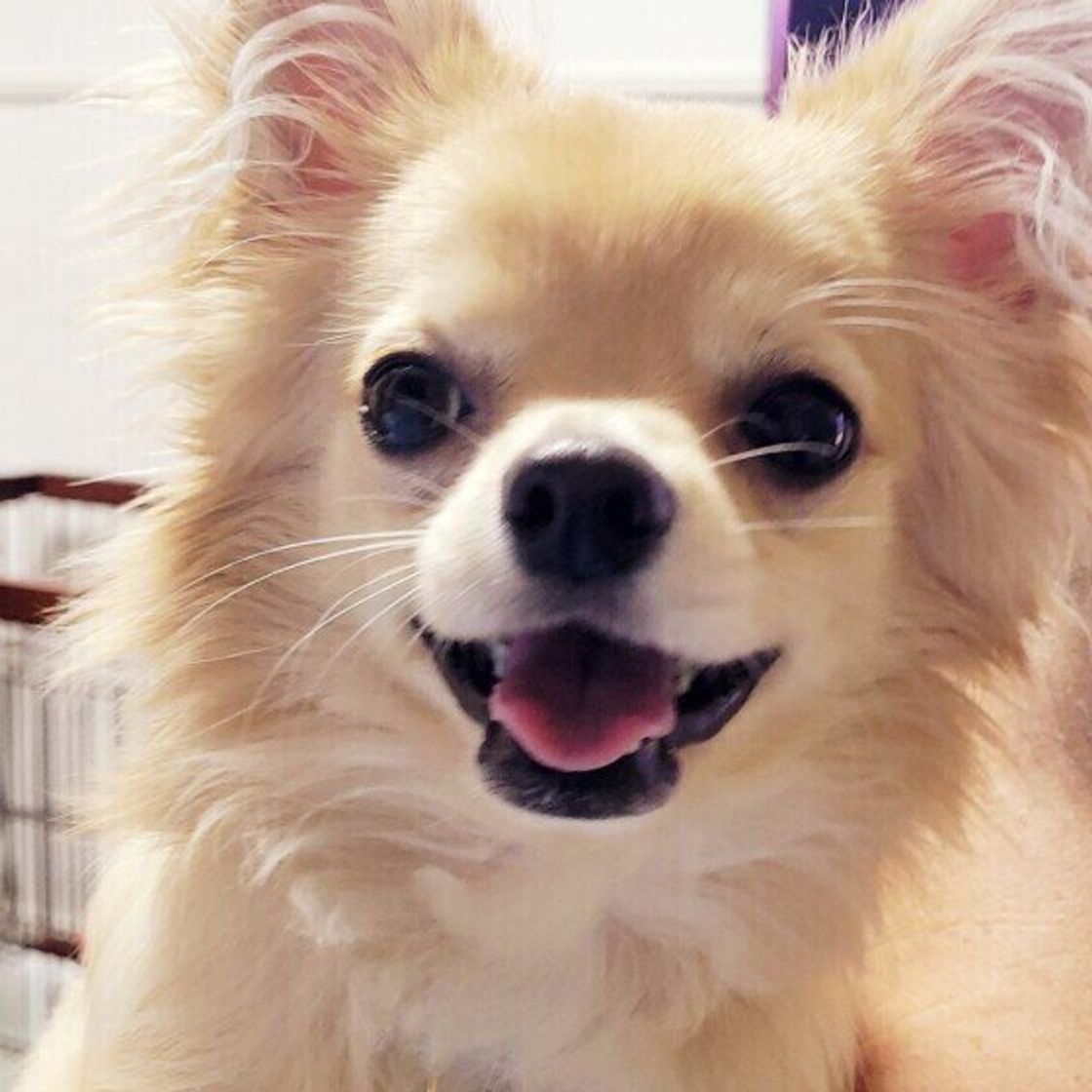 Xgkheikx3zab2m Xgkheikx3zab2m